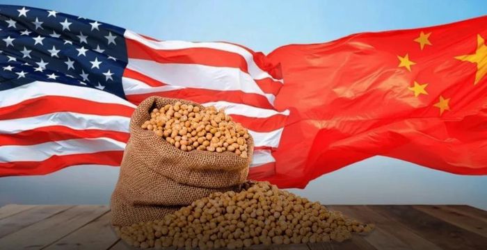 Đậu tương vẫn là mặt hàng nông sản chiến lược trong quan hệ thương mại giữa hai bên, đặc biệt phục vụ ngành chăn nuôi quy mô lớn của Trung Quốc