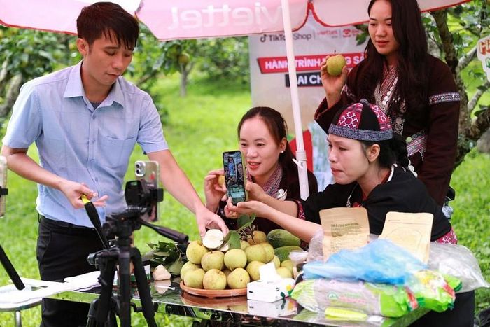 Hoạt động Livestream quảng bá, bán sản phẩm Lê trực tiếp tại vườn với sự đồng hành của Viettel Post, Công ty Kỷ Nguyên Mới, các KOL, Tiktoker, các đơn vị truyền thông là một điểm nhấn đặc biệt của Ngày hội giúp nông sản địa phương tiếp cận nhanh chóng với thị trường toàn quốc, góp phần cung cấp sức quá trình chuyển đổi số lượng trong xúc tiến thương mại.