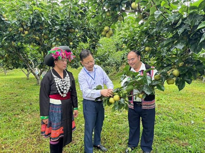 Đồng chí Nguyễn Ngọc Vinh - Phó Bí thư Tỉnh ủy, Chủ tịch UB MTTQ Việt Nam tỉnh cùng các đại biểu chia sẻ với bà con về kỹ thuật chăm sóc cây Lê tại vườn.