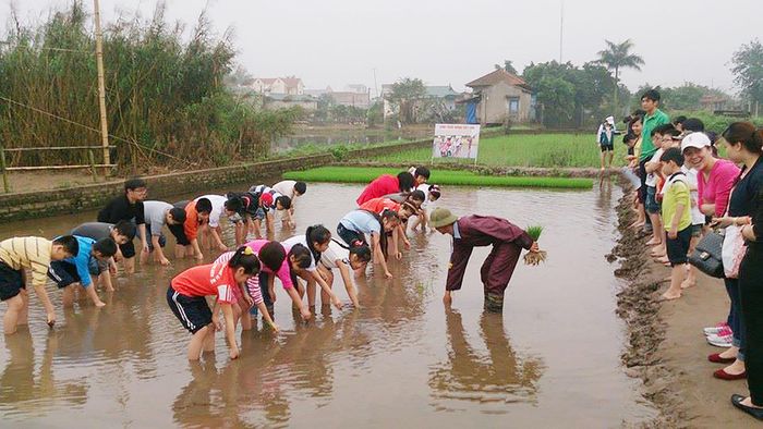 Trẻ em tham gia hoạt động trải nghiệm tại điểm du lịch xã Hồng Vân. Ảnh: Sở Du lịch Hà Nội