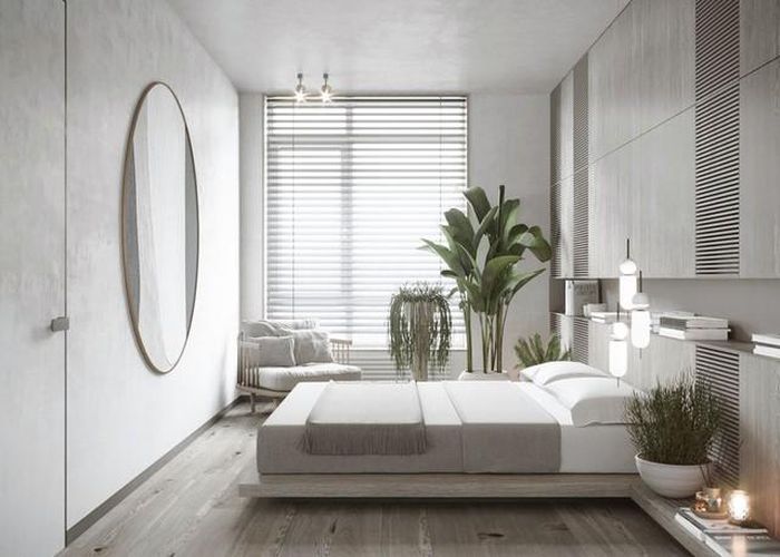Bạn hãy chọn những loại cây dễ sống, ít cần tưới nước và luôn cắt tỉa lá vàng để giữ cho "kho năng lượng" tình duyên luôn tươi mới.