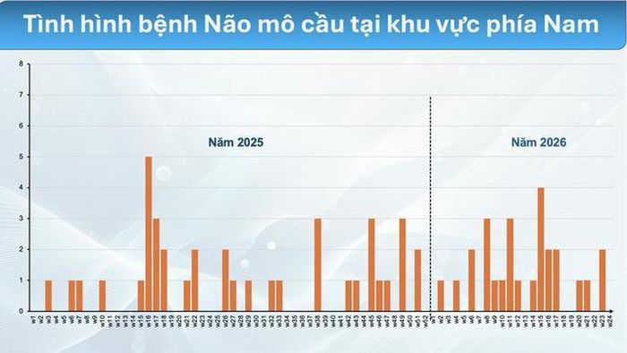 Ca mắc não mô cầu đang có xu hướng gia tăng. Ảnh: Pasteur TPHCM cung cấp. 