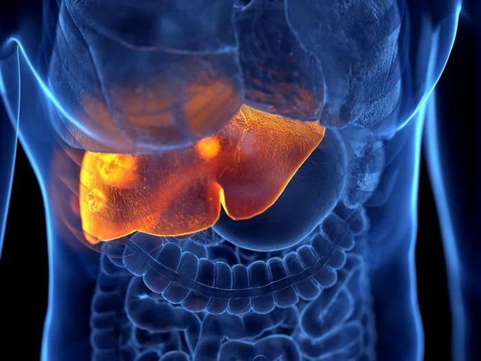 Ung thư gan hiện là một trong những nguyên nhân gây tử vong có tốc độ gia tăng nhanh nhất trên thế giới. Hình minh họa: Sebastian Kaulitzki/Getty Images