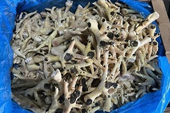 Công an TP Hà Nội phát hiện lượng lớn chân gà chuẩn bị tuồn ra thị trường đã bốc mùi hôi thối. Ảnh: CAHN.