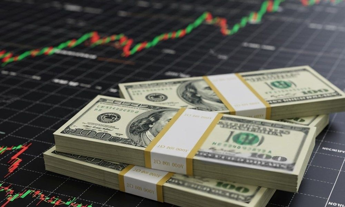  Đồng USD áp đảo trên thị trường ngoại hối. Ảnh minh họa: thoibaonganhang.vn