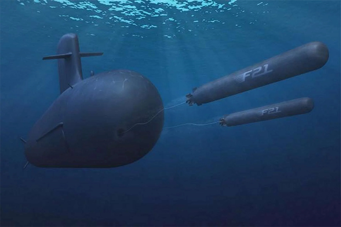 Theo hợp đồng ký kết giữa Bộ Quốc phòng Hà Lan và Naval Group, ngư lôi F21 sẽ được trang bị cho 4 tàu ngầm lớp Orka. Ảnh trên: Naval Group; ảnh dưới: Bộ Quốc phòng Pháp