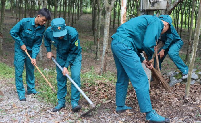 Lực lượng dân quân tự vệ tham gia vệ sinh môi trường, chỉnh trang cảnh quan tại tuyến đường Tân Bình 6 (phường Vĩnh Tân)