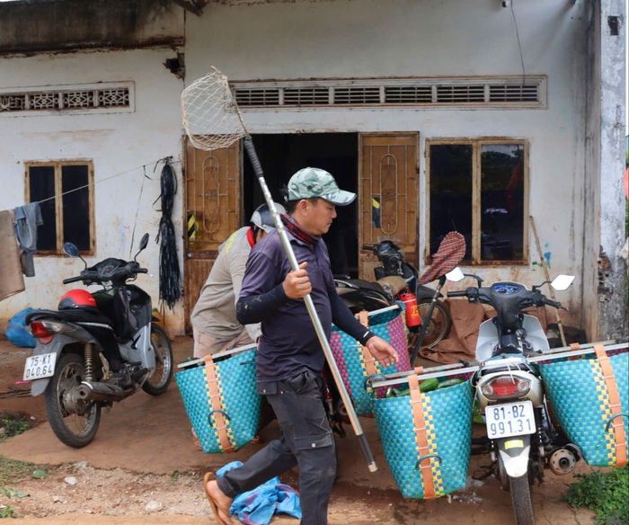  Những người đi thu mua bơ. Ảnh: HỮU PHÚC 