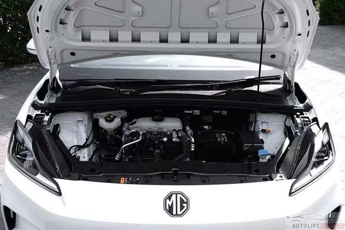 Phiên bản tiêu chuẩn có công suất tối đa 150 mã lực và mô-men xoắn cực đại 250 Nm, cho khả năng tăng tốc từ 0-100 km/h trong 9,6 giây trước khi đạt tốc độ tối đa 160 km/h. Phiên bản Standard được trang bị pin LFP dung lượng 42,8 kWh, cung cấp phạm vi hoạt động 325 km theo tiêu chuẩn WLTP.