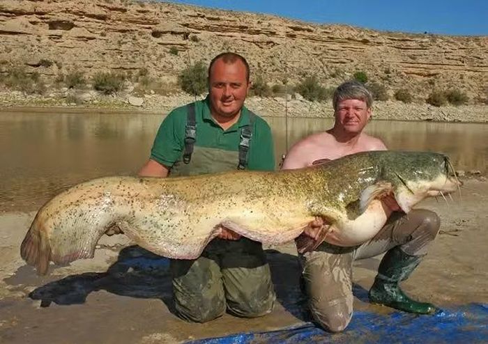Ảnh: Seriously Fish