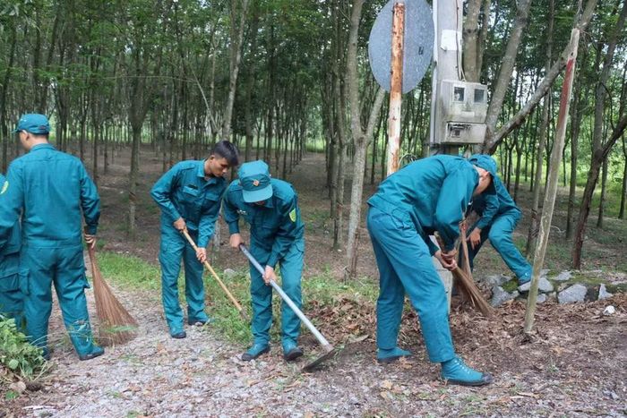 Các chiến sĩ, dân quân tự vệ vệ sinh môi trường, chỉnh trang cảnh quan tại tuyến đường Tân Bình 6 (phường Vĩnh Tân).