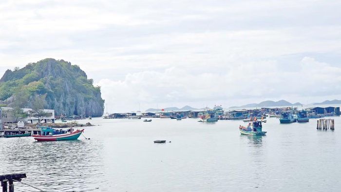 Những lồng bè nuôi cá trải dài quanh đảo Hòn Nghệ, nguồn sinh kế chính của hàng trăm hộ dân địa phương