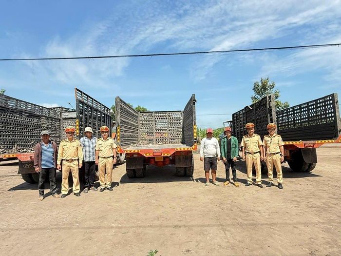 Việc tổng rà soát nhằm kịp thời phát hiện, xử lý các trường hợp vi phạm.
