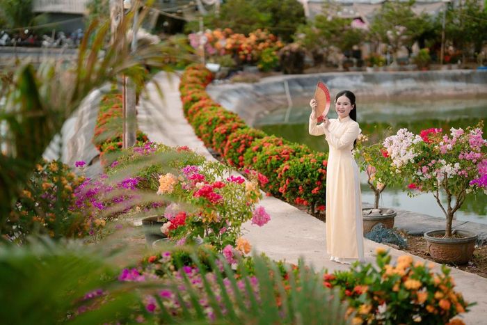 Đám hỏi của Cẩm Tú được tổ chức vào tháng 1/2026, lúc này hai rặng hoa trang đỏ mới chớm nở 
