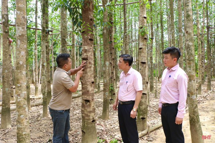 Cơ sở sản xuất hương trầm Phúc Trạch (thôn 4, xã Phúc Trạch) được nguồn vốn NHCSXH tiếp sức để mở rộng sản xuất, phát triển kinh tế bền vững.