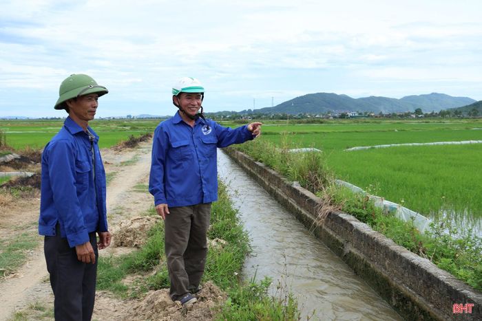 Diện tích lúa hè thu tại xã Can Lộc phát triển tốt.