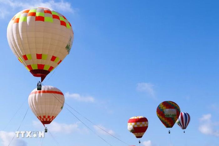 Những khinh khí cầu nghệ thuật trên bầu trời phường Cao Lãnh. (Ảnh: Hồng Thái/TTXVN)