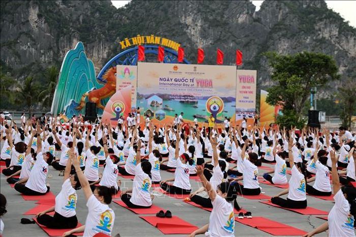 Ngày Quốc tế Yoga thu hút gần 3.000 người tham gia.