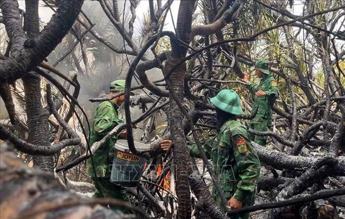Lực lượng Bộ đội Biên phòng nỗ lực dập lửa cháy rừng phòng hộ tại xã Đông Trạch. Ảnh: TTXVN phát