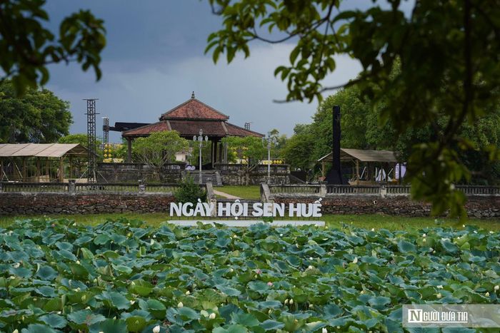 Ngày hội Sen Huế 2026 với chủ đề “Ngự Liên Thức Thủy” diễn ra từ ngày 19-21/6 tại Đảo Bồng Lai của Hồ Tịnh Tâm (phường Phú Xuân, Tp.Huế) đã mang đến không gian văn hóa, nghệ thuật và trải nghiệm đặc sắc gắn với loài hoa biểu tượng của xứ Huế.
