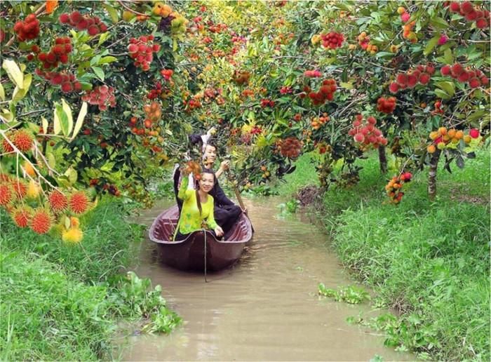 Du khách thích thú khi ngồi xuồng hái trái cây ở Cần Thơ.
