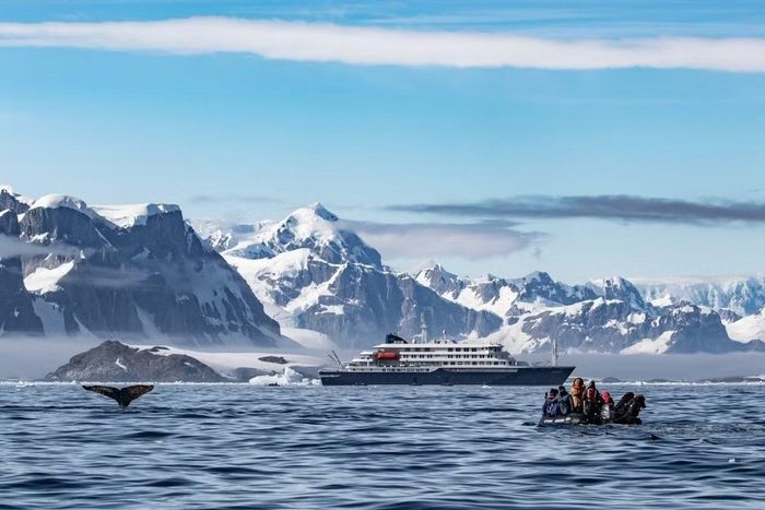 Tàu M/V Hondius là tàu thám hiểm vùng cực hàng đầu của Oceanwide Expeditions, được chế tạo chuyên dụng cho các chuyến thám hiểm sâu sắc ở Bắc Cực và Nam Cực
