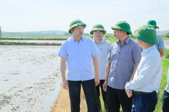 Phó Chủ tịch UBND tỉnh Cao Văn Cường kiểm tra tình hình sản xuất vụ Thu Mùa tại xã Hoạt Giang.