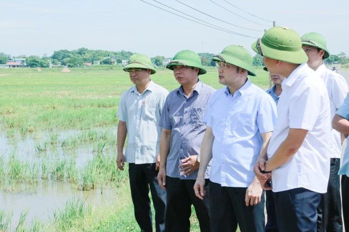Phó Chủ tịch UBND tỉnh Cao Văn Cường kiểm tra tình hình sản xuất vụ Thu Mùa tại xã Lĩnh Toại.