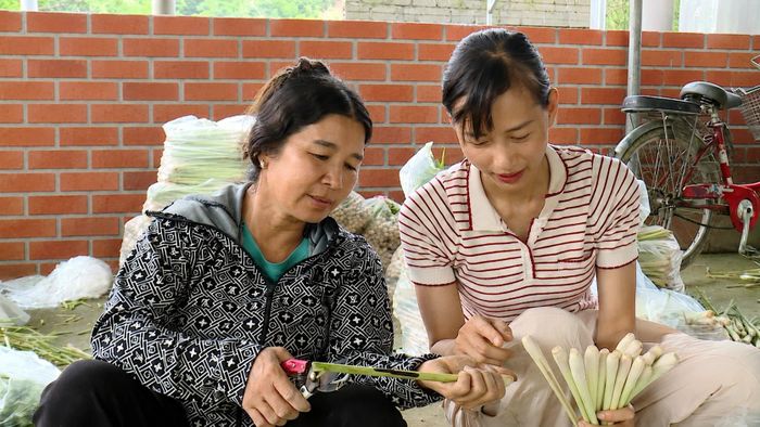 Chị Hoàng Thị Hương (bên phải) hướng dẫn công nhân sơ chế sả.