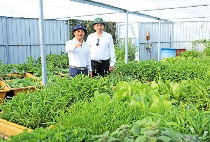  Cán bộ tỉnh Bắc Ninh tìm hiểu mô hình trồng rau xanh trên các đảo thuộc Đặc khu Trường Sa. 