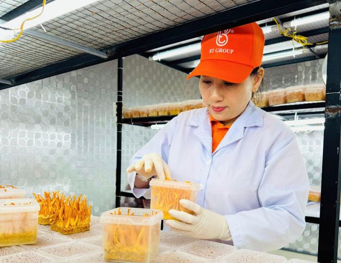 Các sản phẩm đông trùng hạ thảo của BT Group từng vướng hiểu lầm với một thương hiệu tương tự dù đã đăng ký bảo hộ với Cục Sở hữu trí tuệ. Ảnh: PHAN VINH