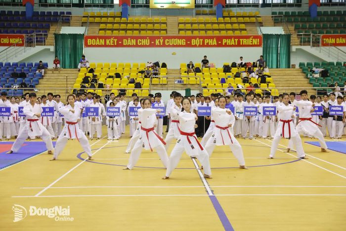 Biểu diễn quyền tại lễ khai mạc. Ảnh: Huy Anh