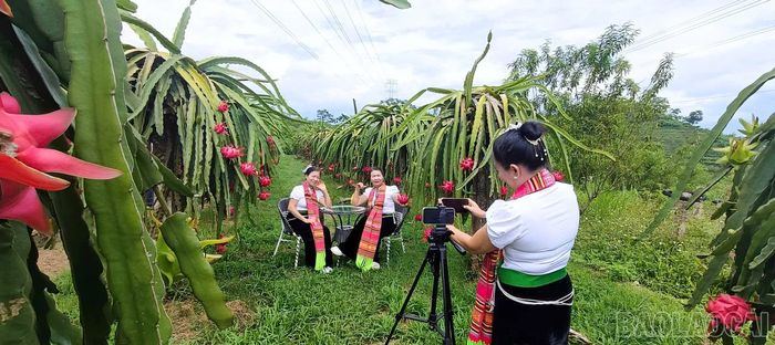 Lễ hội mang đến không gian trải nghiệm tại các nhà vườn cây trái cho người dân và du khách.