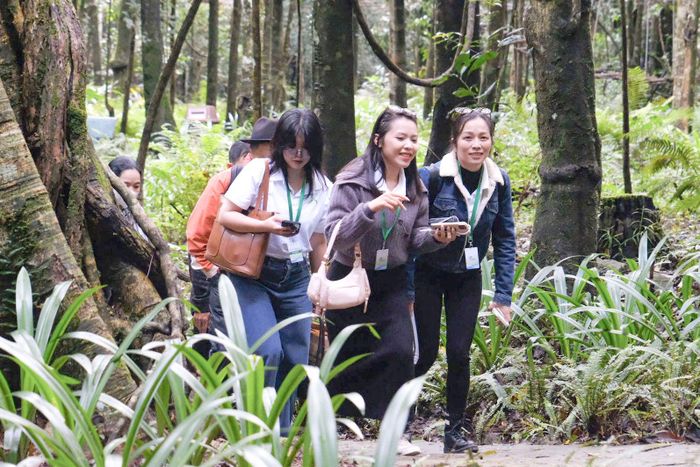 Ngày càng nhiều du khách lựa chọn du lịch xanh, bền vững vì sức khỏe