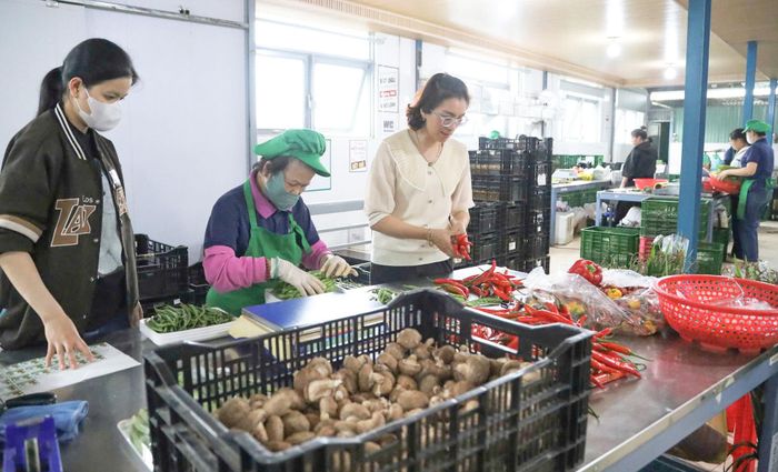 Xưởng sản xuất, đóng gói của Hợp tác xã Vườn nhà Đà Lạt