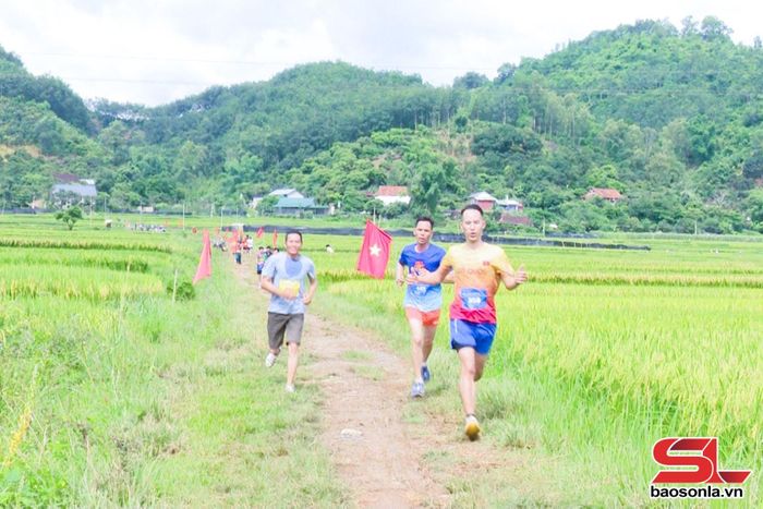 Các vận động viên trên đường đua.