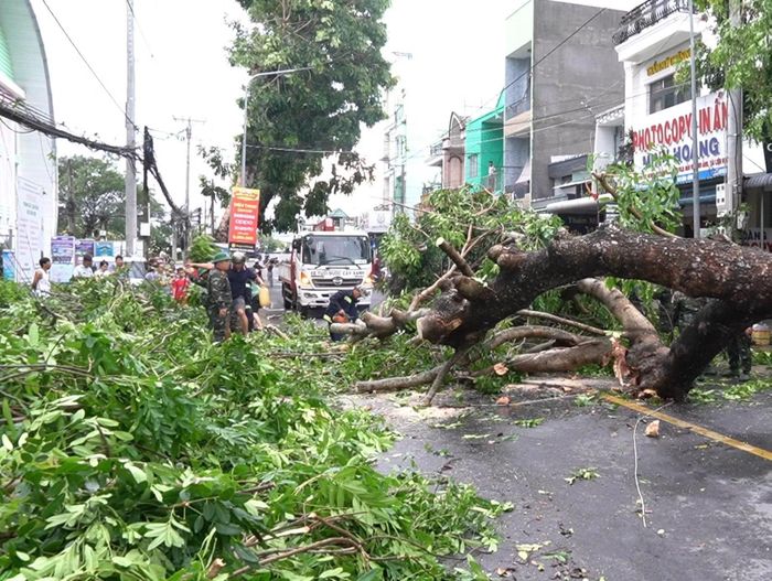 Cây xanh bị ngã đổ.