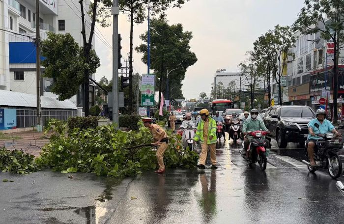 Lực lượng CSGT dọn dẹp cây xanh.
