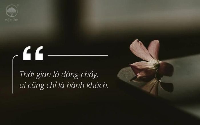 Hình minh họa. Nguồn: Internet