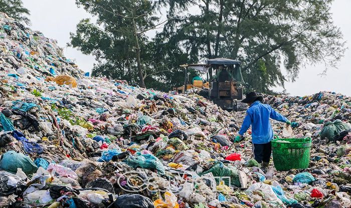 Bãi rác tập trung tại ấp Tân Tạo, xã Vĩnh Lợi đã quá tải nhiều năm.