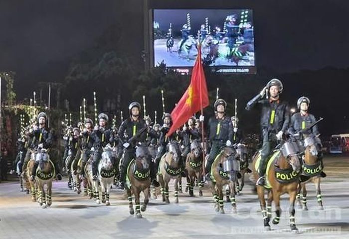 Biểu diễn kỵ binh