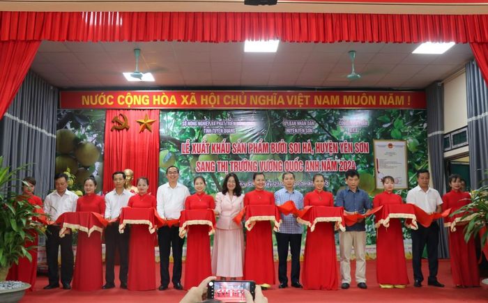 Từ năm 2024, bưởi Soi Hà (Tuyên Quang) xuất khẩu đi Vương quốc Anh.