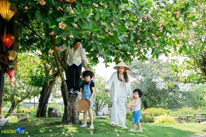  Trường Giang - Nhã Phương đưa hai nhóc đi thu hoạch rau củ, trái cây trong vườn nhà. 