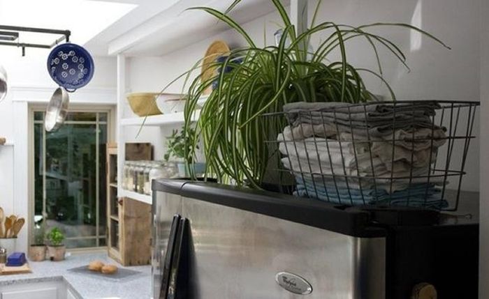 Xét theo phong thủy, việc đặt hoa và cây xanh lên nóc tủ cũng có thể khiến tài lộc hao hụt, ảnh hưởng đến đường công danh, sự nghiệp của gia chủ.