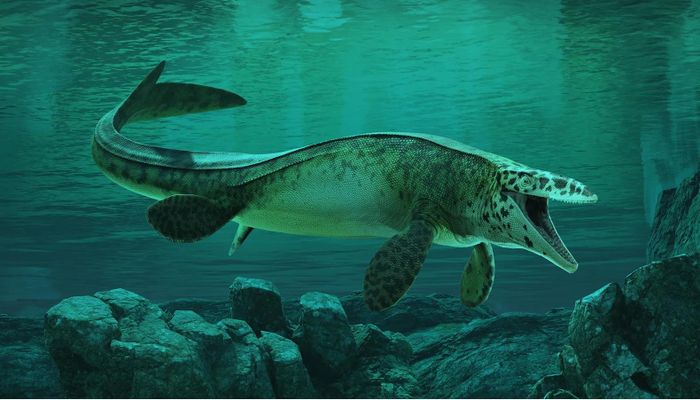 "Vua rồng" Tylosaurus rex khi còn sống - Ảnh đồ họa: Alderon Games/Path of Titans
