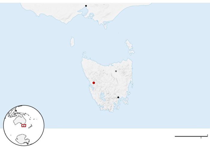  Tasmania là một bang hải đảo nằm ở cực Nam của nước Úc, cách đất liền khoảng 240 km. Ảnh: Guardian. 