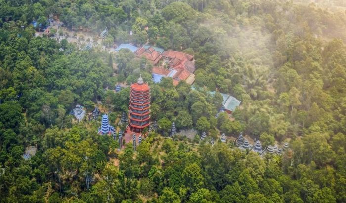 Quần thể cây cổ thụ hàng trăm năm tuổi góp phần tạo nên hệ sinh thái đặc sắc trên núi Thiên Ấn. Ảnh: Đoàn Vương Quốc