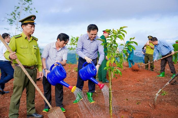 Hàng trăm cây xanh được trồng mới trên núi Thiên Ấn nhằm bảo tồn cảnh quan và hệ sinh thái tự nhiên