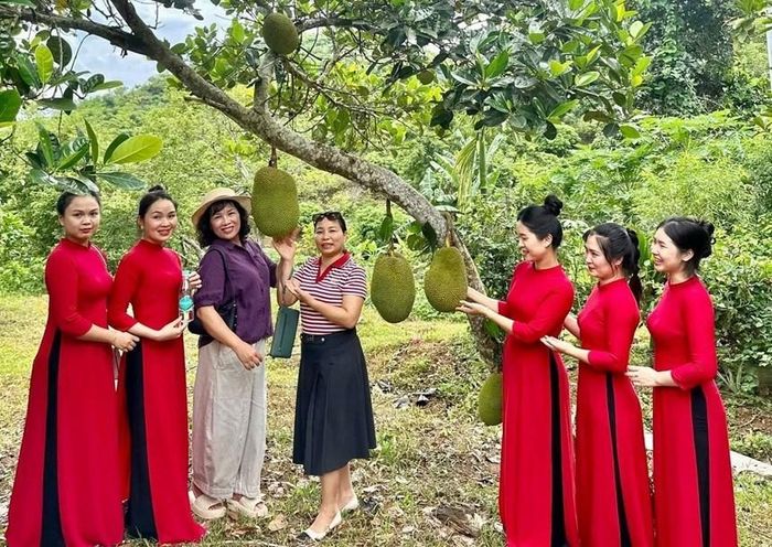 Người dân và du khách được trải nghiệm check-in ngay tại các nhà vườn