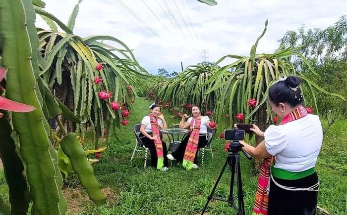 Phường Trung Tâm định hướng phát triển nông nghiệp gắn với du lịch, văn hóa và dịch vụ